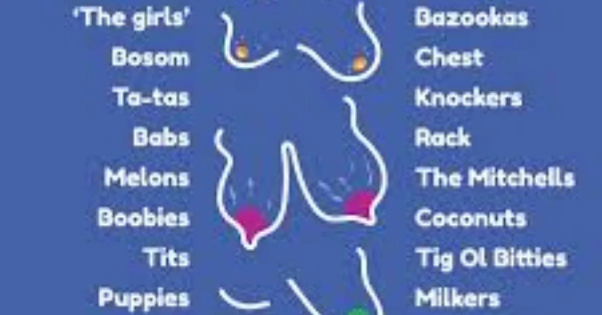 Names for Boobs