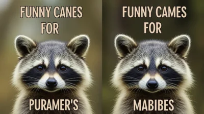 Funny Raccoon Names